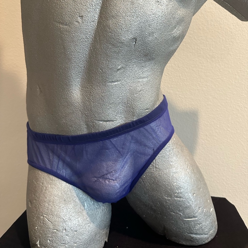 Sheer Brief  - Purple  #45